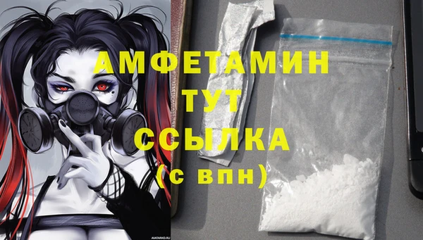 индика Армянск