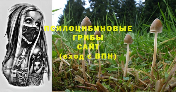 индика Армянск