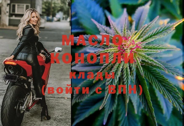 индика Армянск